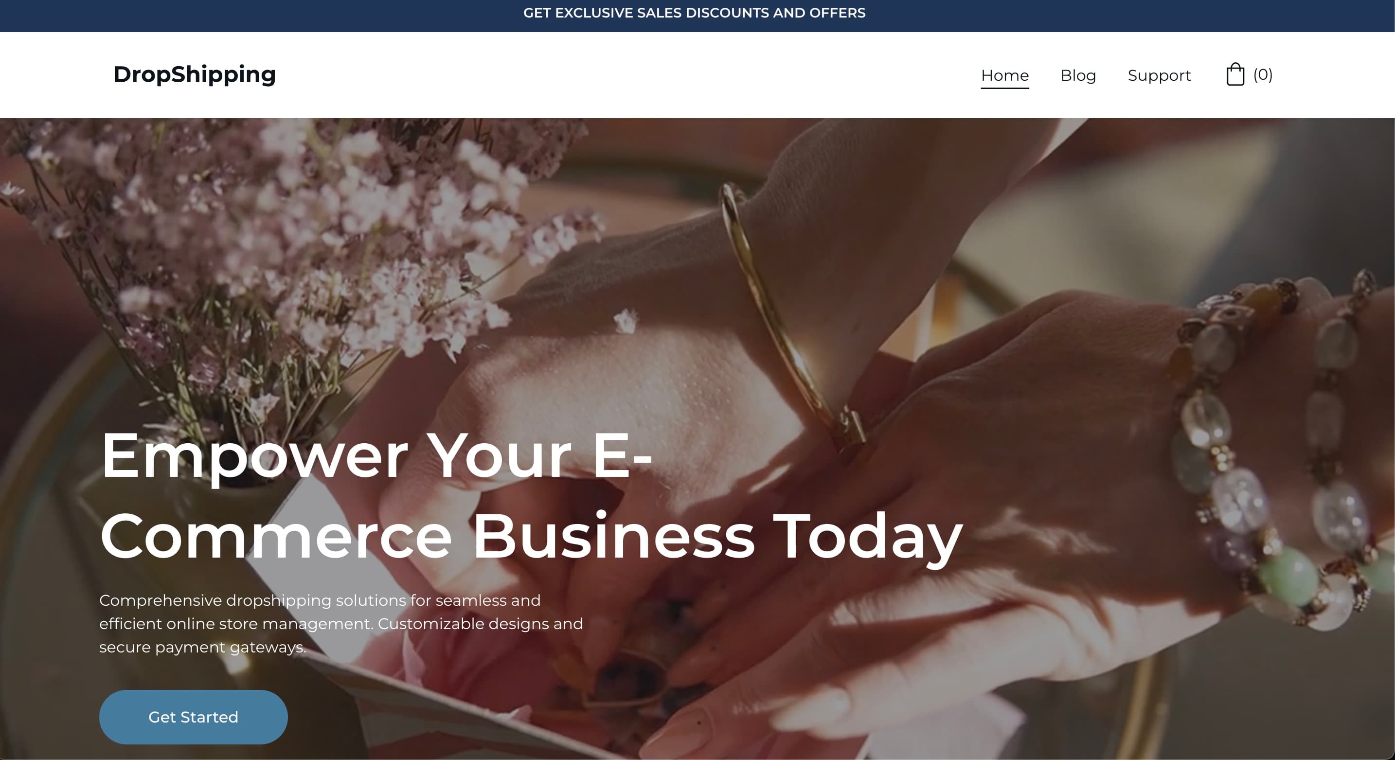 Dropshipping Store