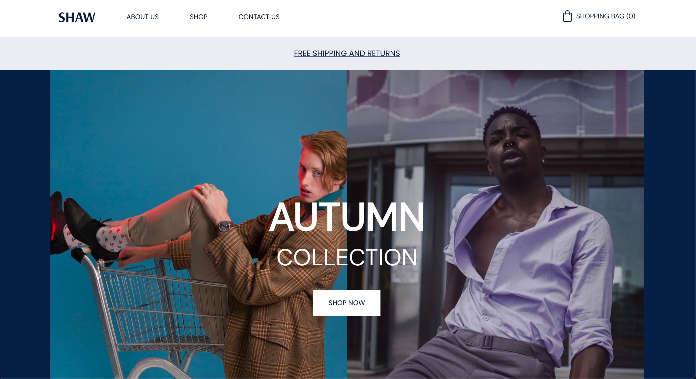 Entrepreneur Portfolio